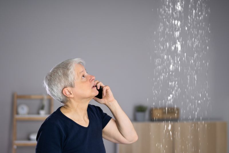 Roof Leak Detection Service